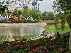 -汕头星城湾欢乐世界