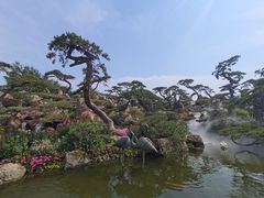 -罗红摄影艺术馆