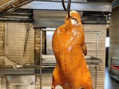 -全聚德烤鸭店(和平路店)