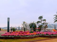 -野狸岛