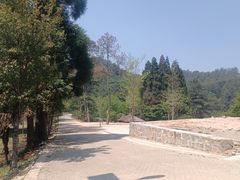 -大浪坝森林公园