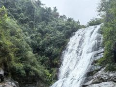 -大奇山国家森林公园