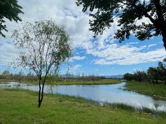 -野鸭湖国家湿地公园