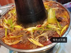 -伊帆食府·青海地方特色美食