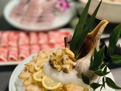 -金龙·打边炉(南京西路店)