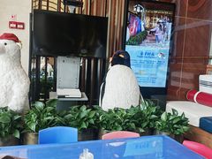 -童趣廊·儿童波波池·海洋球(长隆横琴湾酒店)
