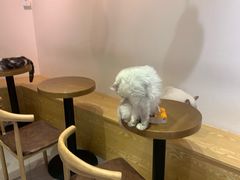 用餐区-Heymao猫咖.咖啡厅(东门店)