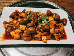-老号尤兔头(玉堂店)