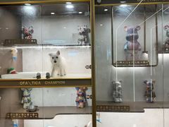-翊宠yipet猫狗购宠庄园