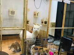 -猫色咖啡·猫咖