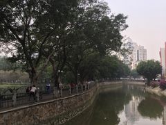 -晓港公园