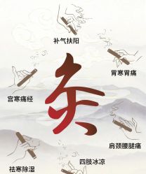 -雅曼妮spa美容养生
