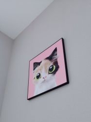 -洗脸猫·洗脸吧