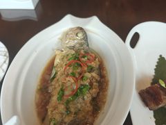 -彩丰楼·中餐厅(国家会展中心上海洲际店)