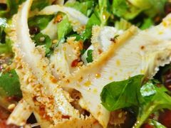 肺片-马记清真肺片(玉林中横巷)