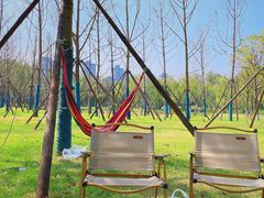 -洋湖国家湿地公园