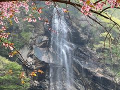 -少华山国家森林公园