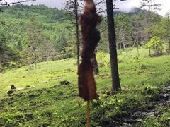 -硗碛藏寨·神木垒景区