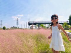-王借岗森林公园