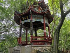 -乌山风景区