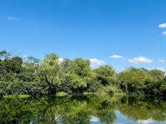 -溱湖国家湿地公园