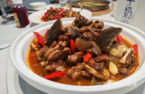 First-Class Soft-Shelled Turtle