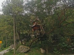 -梧桐山风景名胜区