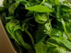 -爱膳菌锅锅(阳南店)