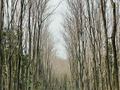 -宜兴龙背山森林公园