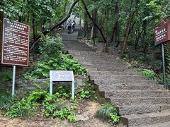 -紫金山山顶公园