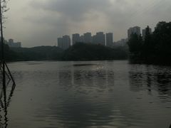 -重庆彩云湖湿地公园
