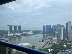 -新加坡瑞士史丹福酒店