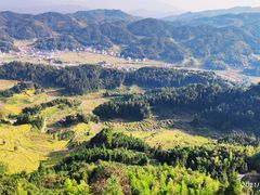 -紫鹊界梯田景区