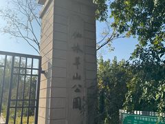 -羊山湖公园