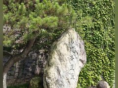 -八大山人梅湖景区