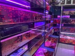 -双季花艺园艺市场(浦东店)