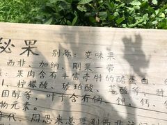 -尚果生态采摘园