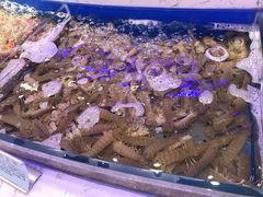 -澜悦港海鲜体验主题餐厅