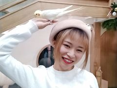-藦茜花园宠物主题亲子互动体验馆(国顺东路店)