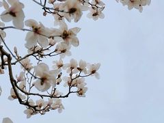 -颐和园