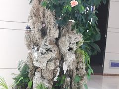 -国华商场