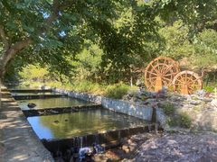 -广州白江湖森林公园