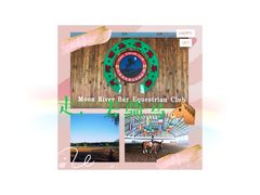 -月河湾马术俱乐部(朝阳店)