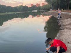-森林公园(尖草坪区)