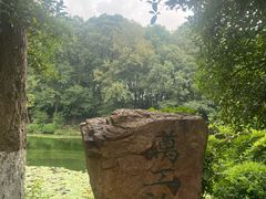-灵谷景区