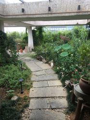 -罗亚帝·NASHOW纳秀形象设计