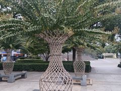 -杭州城北体育公园