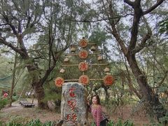 -北海金海湾红树林生态旅游区