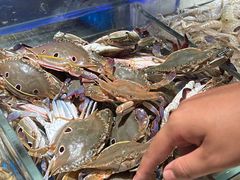 螃蟹-加餐海鲜自助(宝龙一城店)