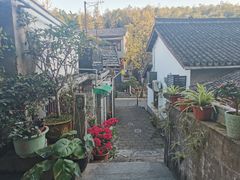 -龙井村